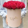 25 малиновых роз Такаци в коробке